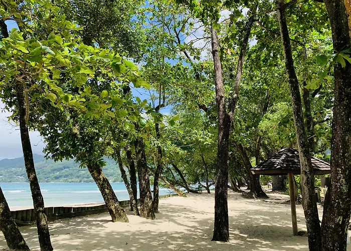 Oceanic View